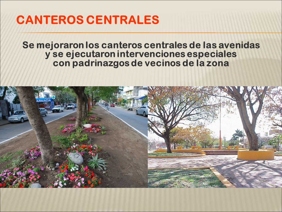 Se mejoraron los canteros centrales de las avenidas y se ejecutaron intervenciones especiales con padrinazgos de vecinos de la zona CANTEROS CENTRALES