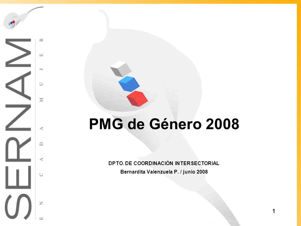 PMG de Género 2008 DPTO. DE COORDINACIÓN INTERSECTORIAL Bernardita Valenzuela P. / junio 2008