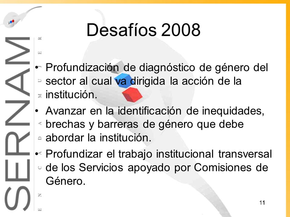 Desafíos 2008 Profundización de diagnóstico de género del sector al cual va dirigida la acción de la institución.