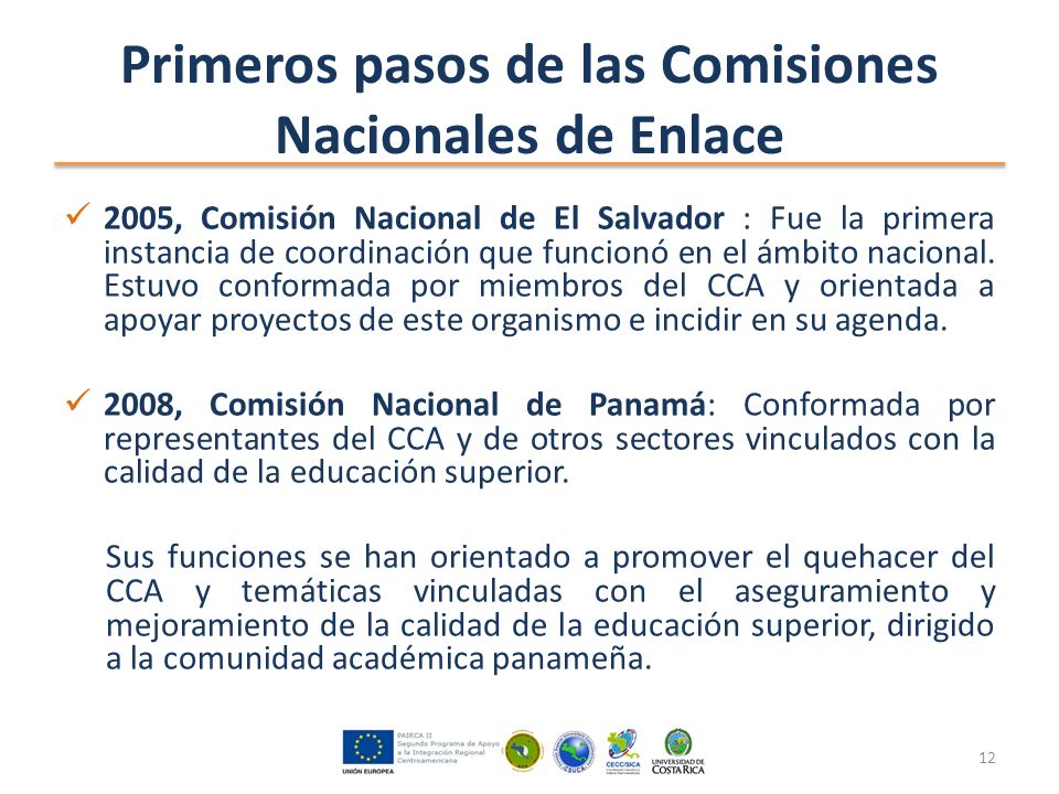 Primeros pasos de las Comisiones Nacionales de Enlace 2005, Comisión Nacional de El Salvador : Fue la primera instancia de coordinación que funcionó en el ámbito nacional.