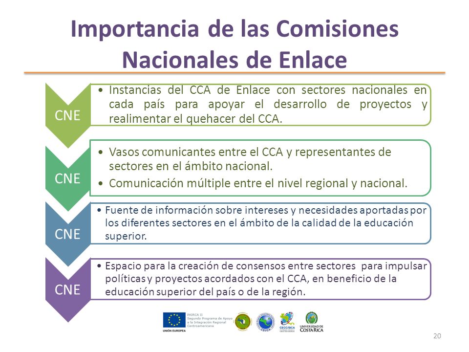 Importancia de las Comisiones Nacionales de Enlace CNE Instancias del CCA de Enlace con sectores nacionales en cada país para apoyar el desarrollo de proyectos y realimentar el quehacer del CCA.