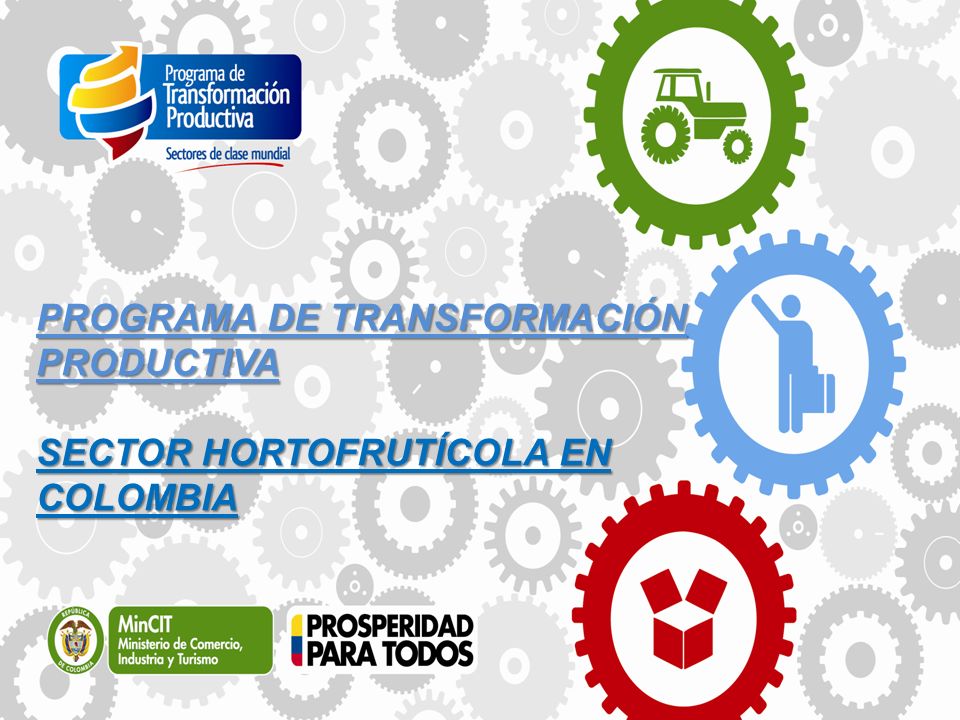 PROGRAMA DE TRANSFORMACIÓN PRODUCTIVA SECTOR HORTOFRUTÍCOLA EN COLOMBIA