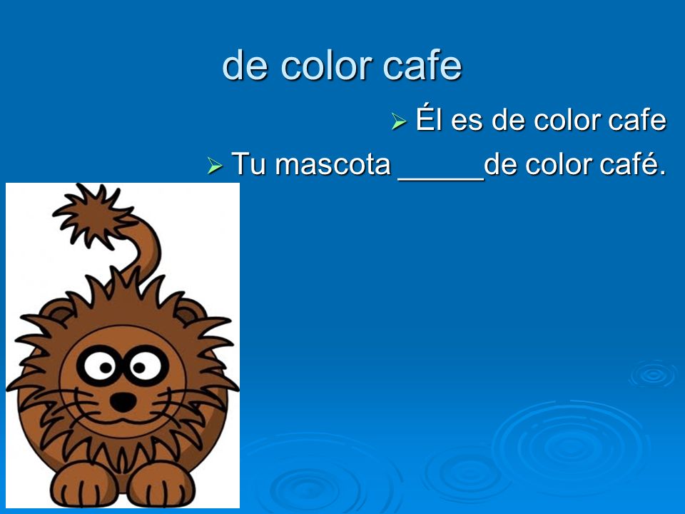 de color cafe Él es de color cafe Él es de color cafe Tu mascota _____de color café.