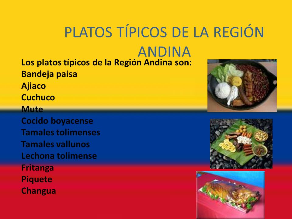Gastronomia de la region andina