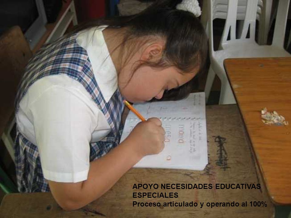 APOYO NECESIDADES EDUCATIVAS ESPECIALES Proceso articulado y operando al 100%