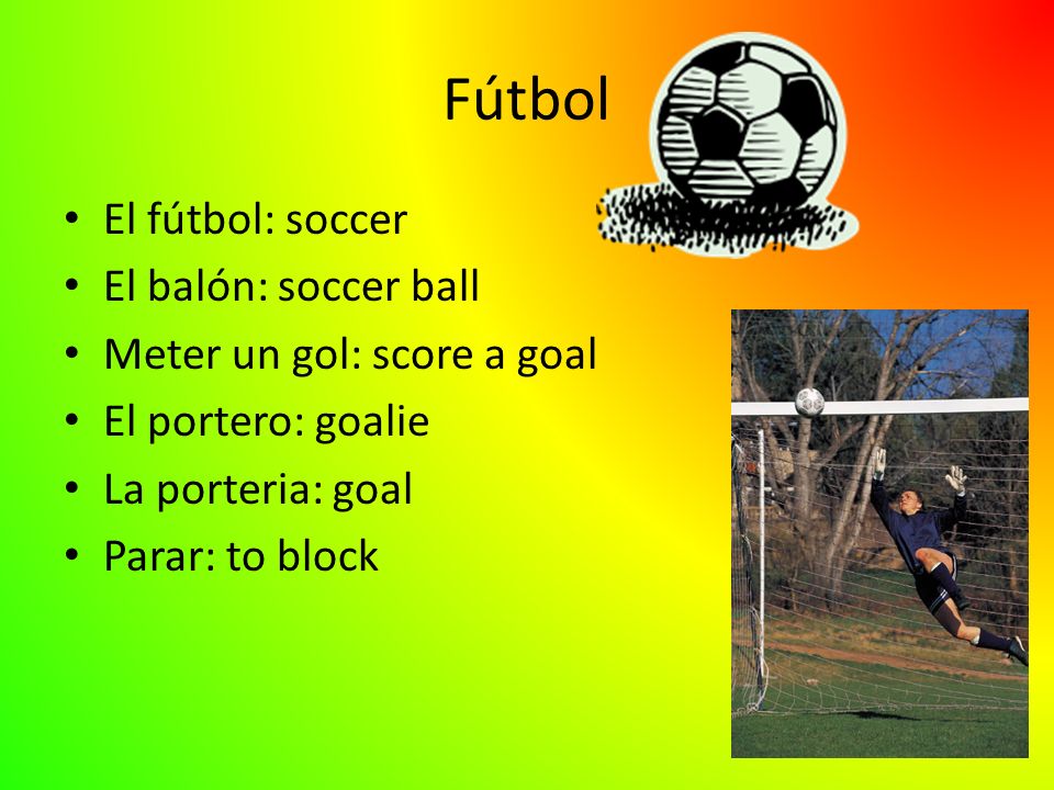 Fútbol El fútbol: soccer El balón: soccer ball Meter un gol: score a goal El portero: goalie La porteria: goal Parar: to block