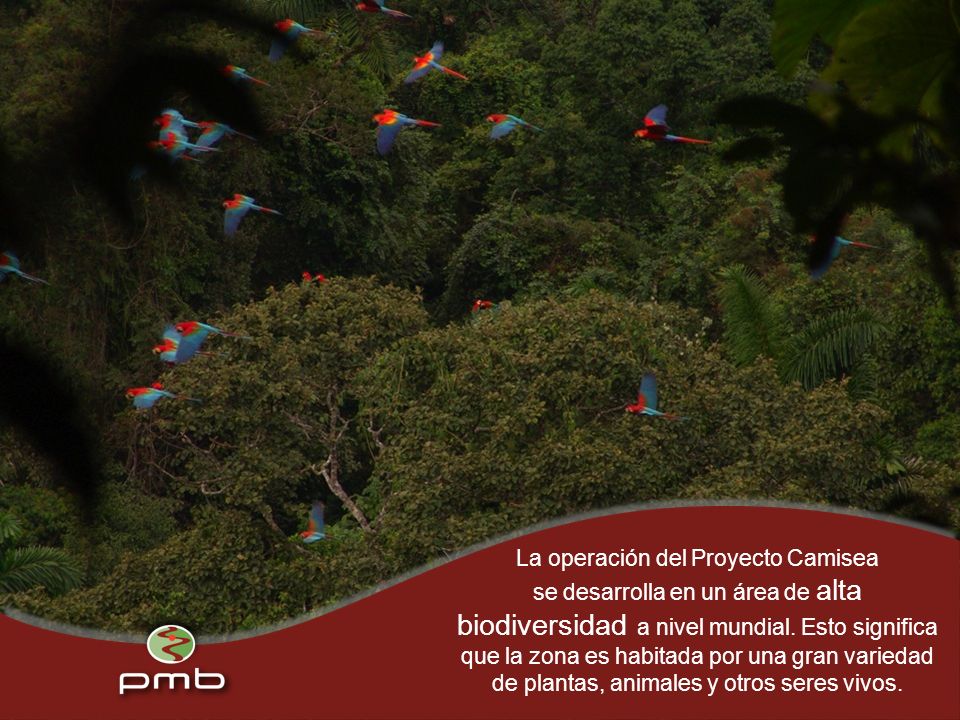 La operación del Proyecto Camisea se desarrolla en un área de alta biodiversidad a nivel mundial.