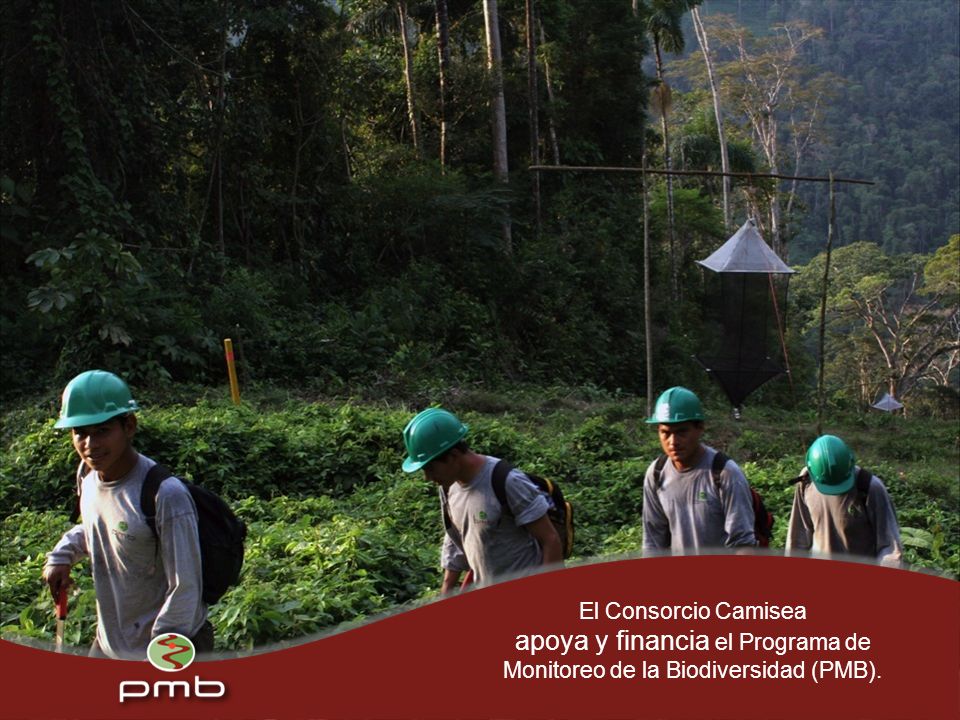El Consorcio Camisea apoya y financia el Programa de Monitoreo de la Biodiversidad (PMB).
