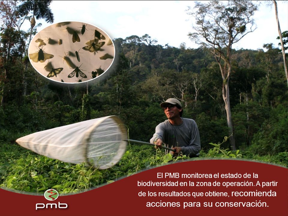 El PMB monitorea el estado de la biodiversidad en la zona de operación.