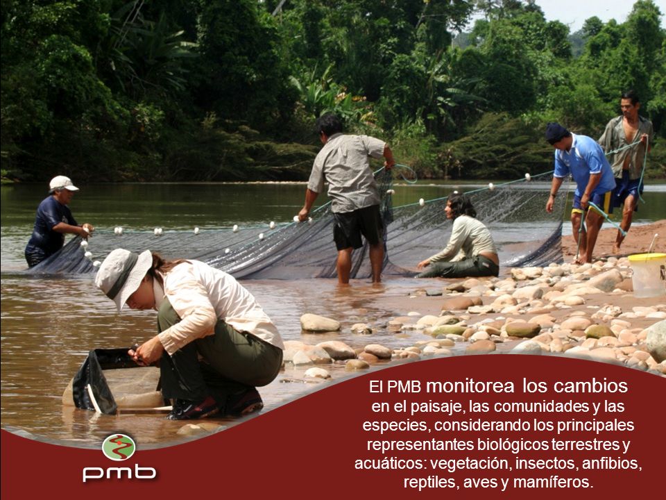 El PMB monitorea los cambios en el paisaje, las comunidades y las especies, considerando los principales representantes biológicos terrestres y acuáticos: vegetación, insectos, anfibios, reptiles, aves y mamíferos.