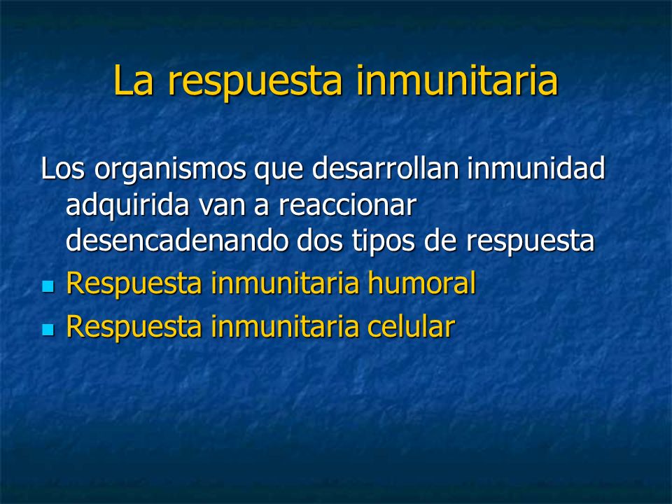 La respuesta inmunitaria Los organismos que desarrollan inmunidad adquirida van a reaccionar desencadenando dos tipos de respuesta Respuesta inmunitaria humoral Respuesta inmunitaria humoral Respuesta inmunitaria celular Respuesta inmunitaria celular