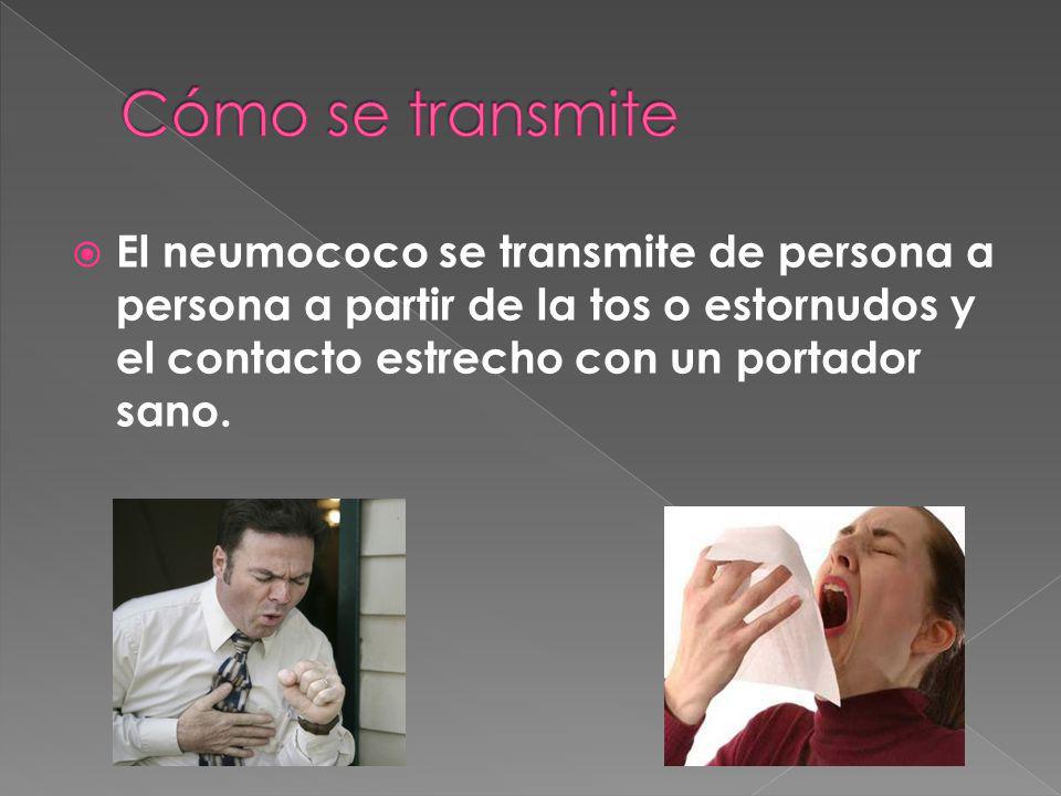 El neumococo se transmite de persona a persona a partir de la tos o estornudos y el contacto estrecho con un portador sano.