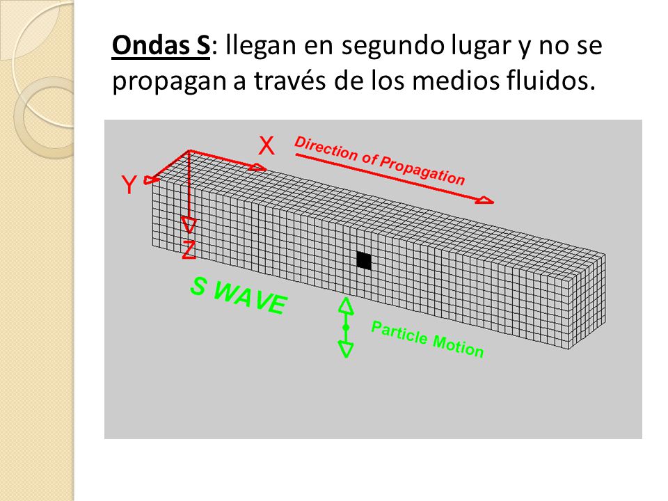 Ondas S: llegan en segundo lugar y no se propagan a través de los medios fluidos.
