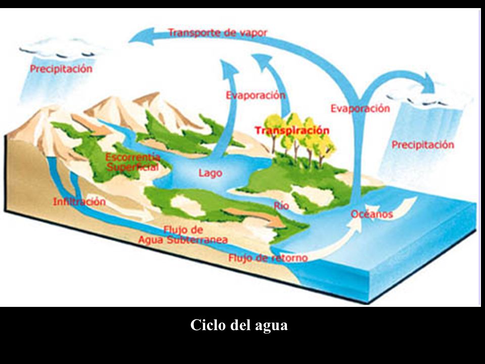 Que significa hidrologia