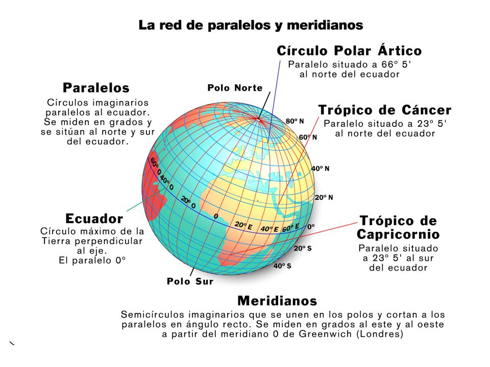 Mis Derechos Participacion Y Organizacion Del Pais 4to Basico A