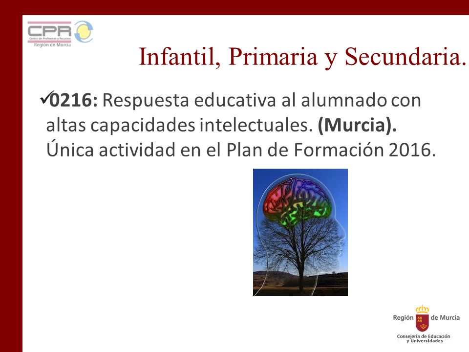 Infantil, Primaria y Secundaria.