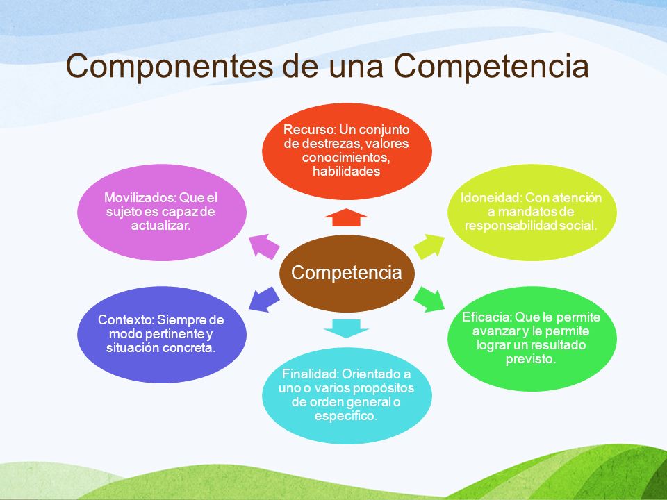 Componentes de una Competencia Competencia Recurso: Un conjunto de destrezas, valores conocimientos, habilidades Idoneidad: Con atención a mandatos de responsabilidad social.