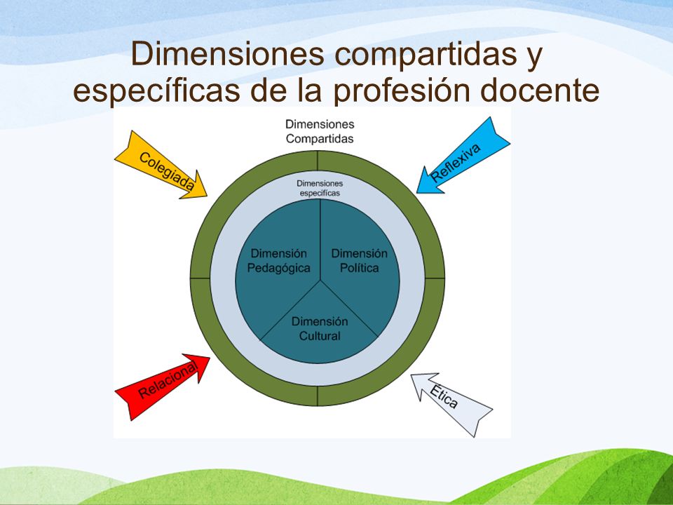 Dimensiones compartidas y específicas de la profesión docente