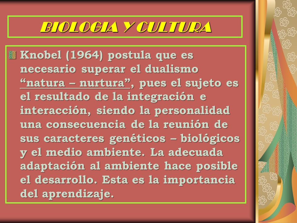 PROBLEMATICAS CENTRALES DE LOS DESARROLLOS EN PSICOLOGIA EVOLUTIVA  PROBLEMATICAS CENTRALES DE LOS DESARROLLOS EN PSICOLOGIA EVOLUTIVA  Psicología Evolutiva. - ppt descargar