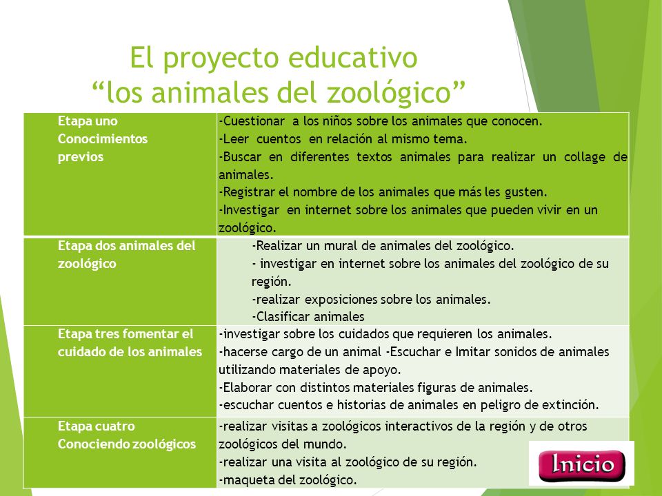 El proyecto educativo los animales del zoológico Etapa uno Conocimientos previos -Cuestionar a los niños sobre los animales que conocen.