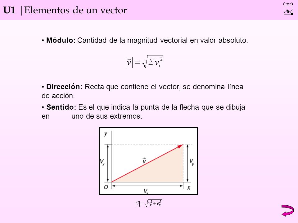 U1 |Elementos de un vector Módulo: Cantidad de la magnitud vectorial en valor absoluto.