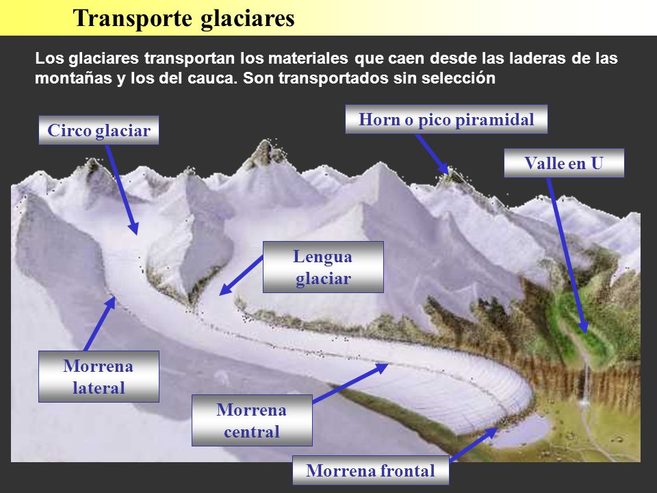 Transporte glaciares Lengua glaciar Valle en U Horn o pico piramidal Circo glaciar Morrena lateral Morrena frontal Morrena central Los glaciares transportan los materiales que caen desde las laderas de las montañas y los del cauca.