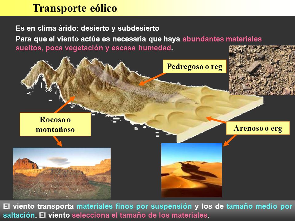 Transporte eólico Es en clima árido: desierto y subdesierto Para que el viento actúe es necesaria que haya abundantes materiales sueltos, poca vegetación y escasa humedad.