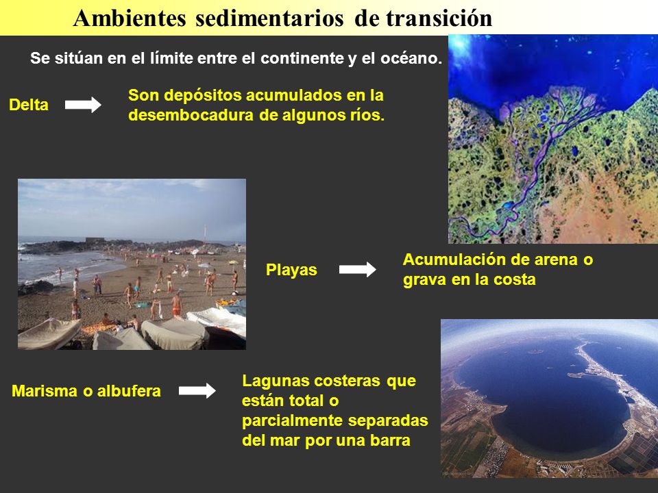 Ambientes sedimentarios de transición Se sitúan en el límite entre el continente y el océano.