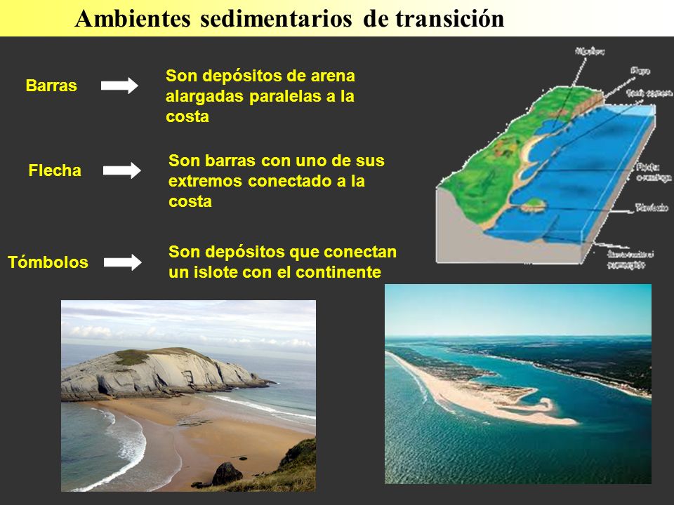 Ambientes sedimentarios de transición Son depósitos de arena alargadas paralelas a la costa Barras Son barras con uno de sus extremos conectado a la costa Flecha Son depósitos que conectan un islote con el continente Tómbolos