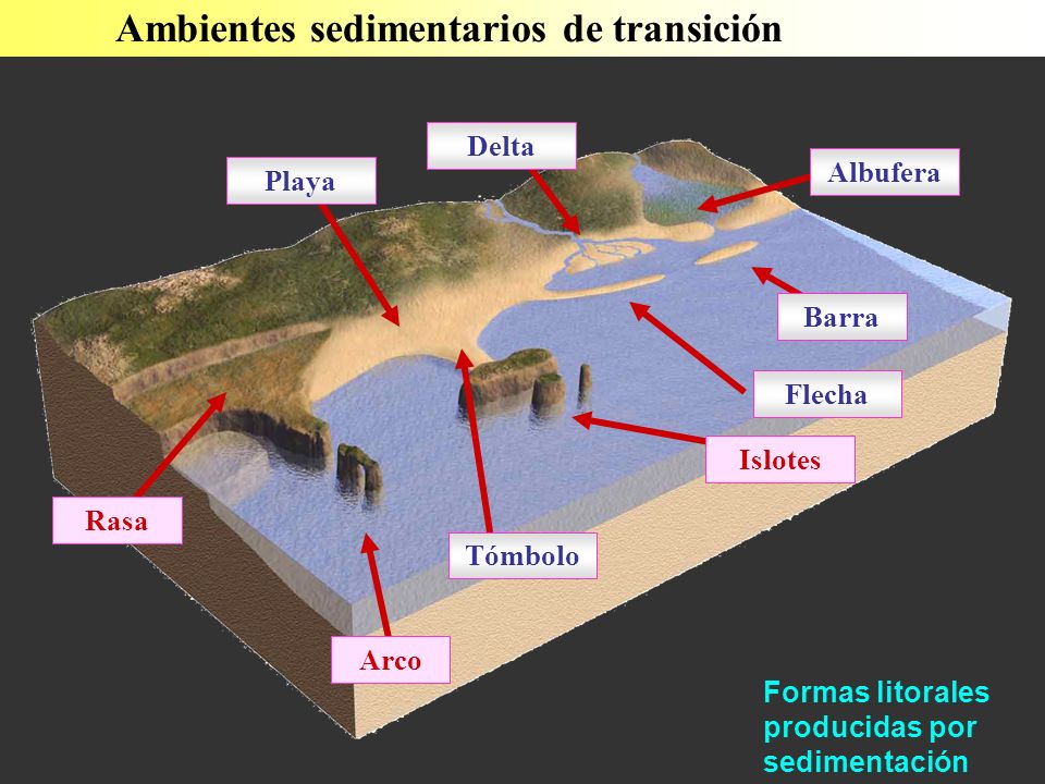 Formas litorales producidas por sedimentación Tómbolo Flecha Playa Albufera Delta Barra Rasa Arco Islotes Ambientes sedimentarios de transición
