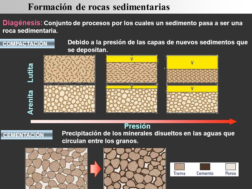 Diagénesis: Conjunto de procesos por los cuales un sedimento pasa a ser una roca sedimentaria.