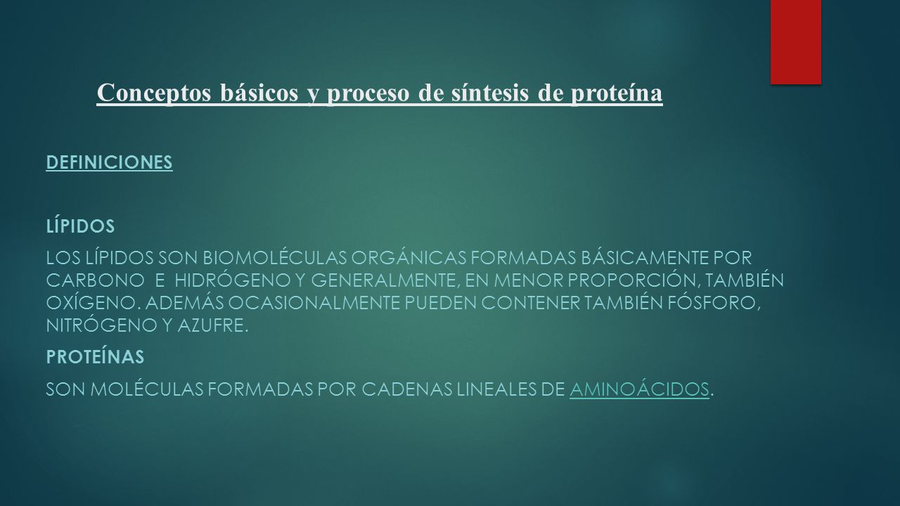 Conceptos básicos y proceso de síntesis de proteína DEFINICIONES LÍPIDOS LOS LÍPIDOS SON BIOMOLÉCULAS ORGÁNICAS FORMADAS BÁSICAMENTE POR CARBONO E HIDRÓGENO Y GENERALMENTE, EN MENOR PROPORCIÓN, TAMBIÉN OXÍGENO.