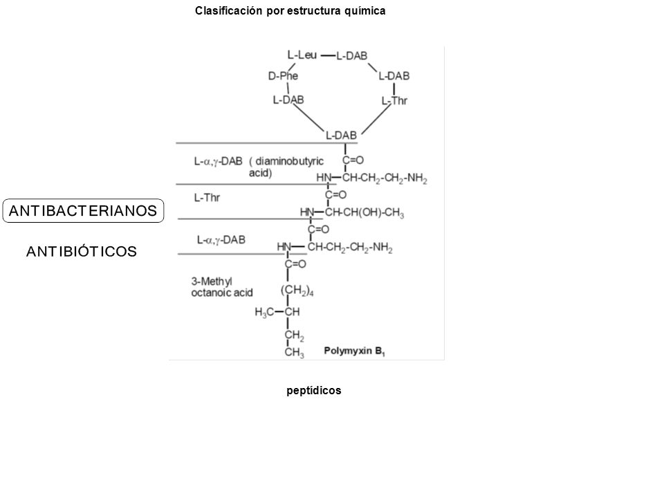 Clasificación por estructura química peptídicos