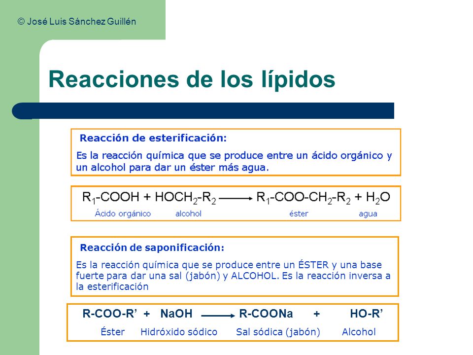 Reacciones de los lípidos Reacción de saponificación: Es la reacción química que se produce entre un ÉSTER y una base fuerte para dar una sal (jabón) y ALCOHOL.