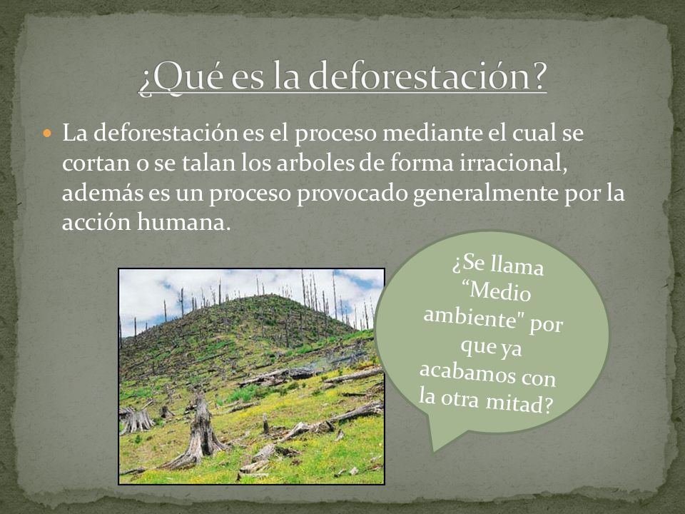 ANTÉS DESPUES. La deforestación es el proceso mediante el cual se cortan o  se talan los arboles de forma irracional, además es un proceso provocado  generalmente. - ppt descargar