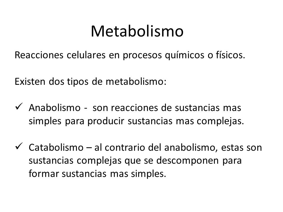 Metabolismo Reacciones celulares en procesos químicos o físicos.