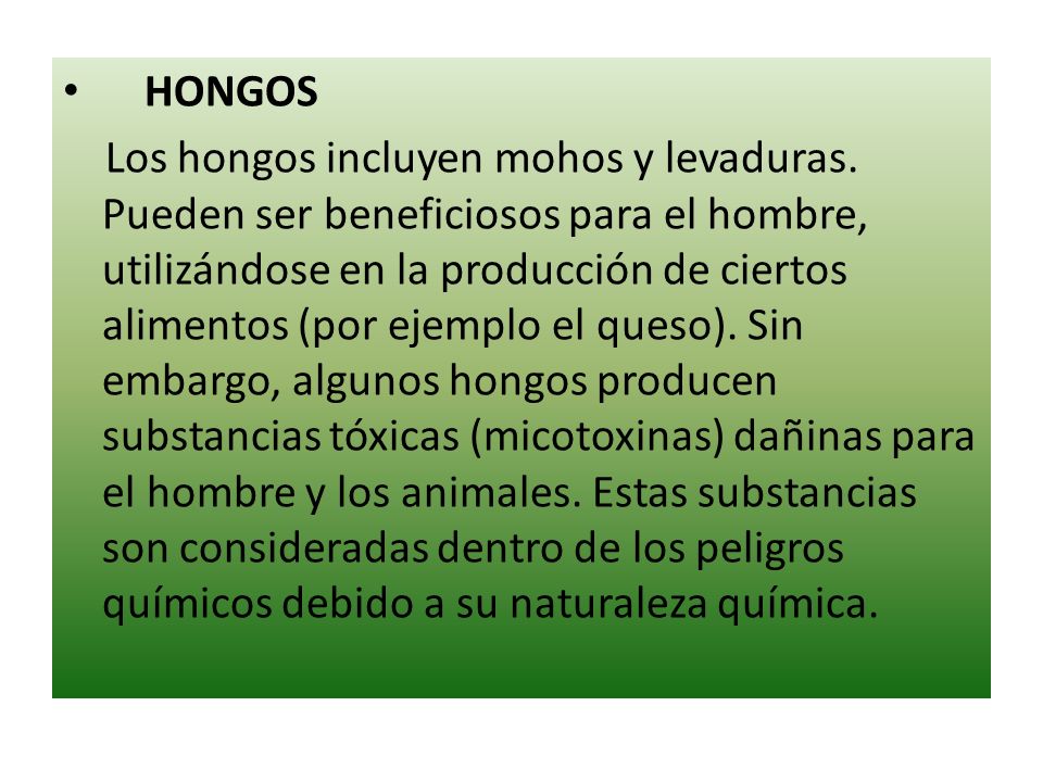 HONGOS Los hongos incluyen mohos y levaduras.