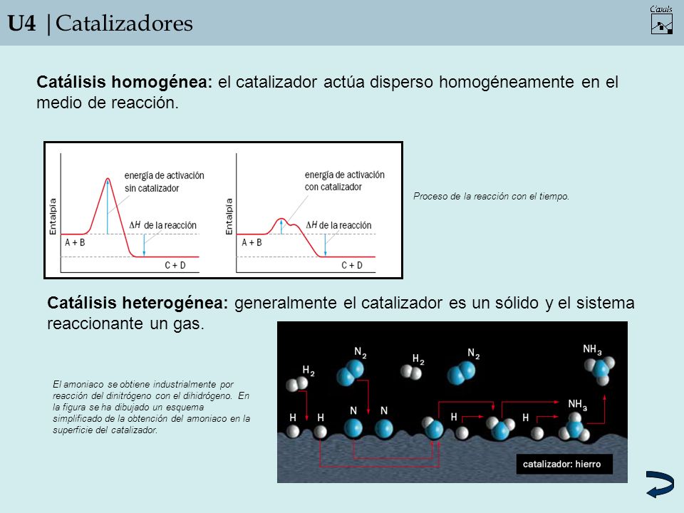 U4 |Catalizadores Catálisis homogénea: el catalizador actúa disperso homogéneamente en el medio de reacción.
