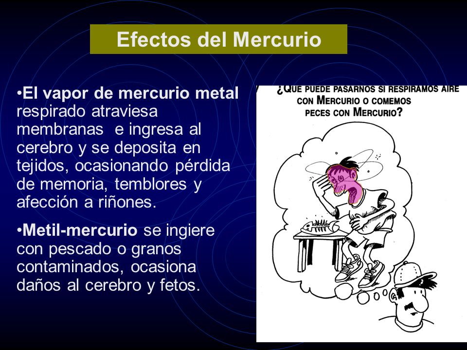 El vapor de mercurio metal respirado atraviesa membranas e ingresa al cerebro y se deposita en tejidos, ocasionando pérdida de memoria, temblores y afección a riñones.
