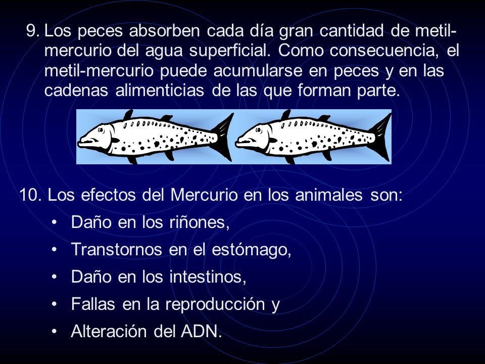9.Los peces absorben cada día gran cantidad de metil- mercurio del agua superficial.