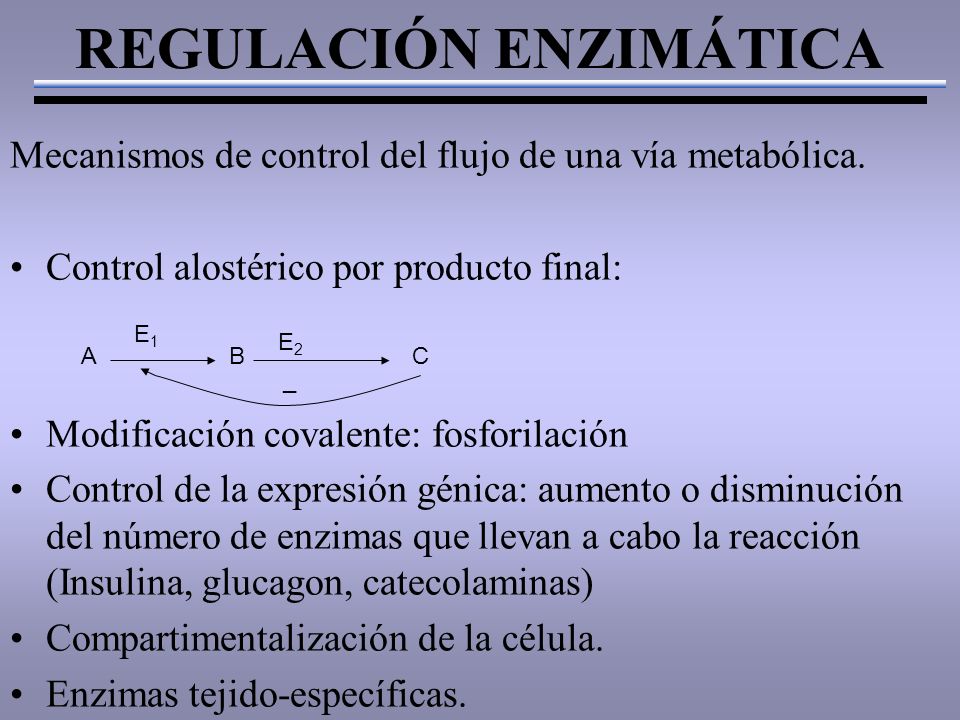 REGULACIÓN ENZIMÁTICA Mecanismos de control del flujo de una vía metabólica.