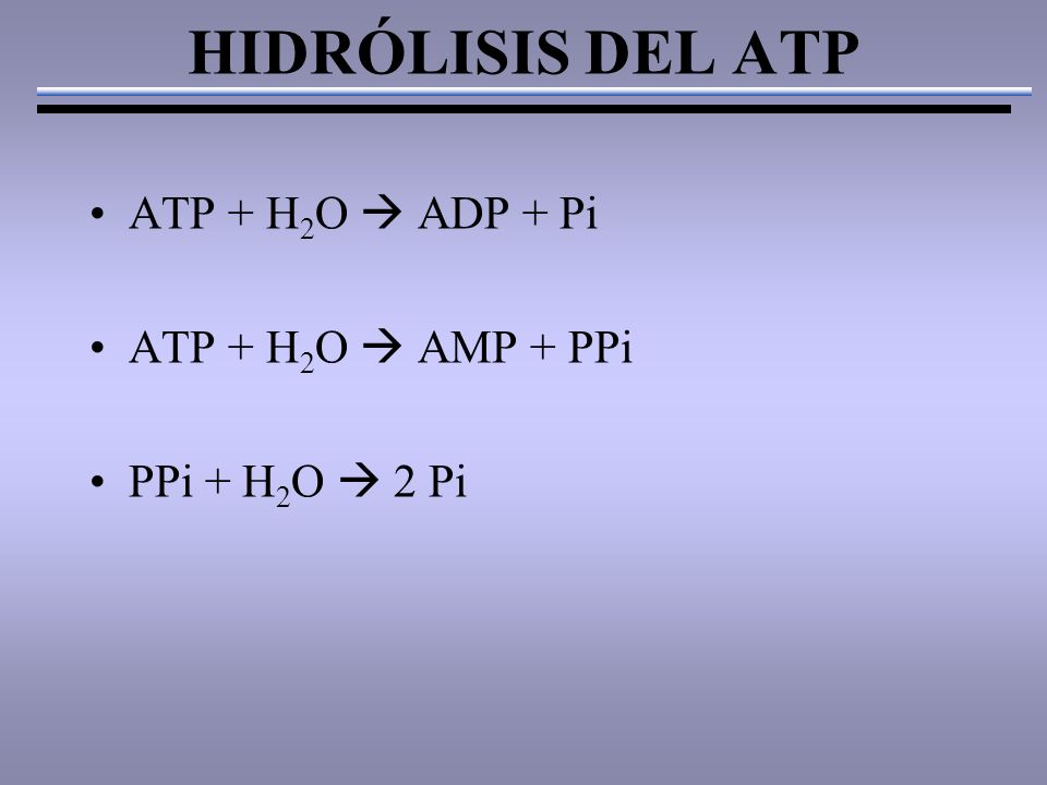 HIDRÓLISIS DEL ATP ATP + H 2 O  ADP + Pi ATP + H 2 O  AMP + PPi PPi + H 2 O  2 Pi