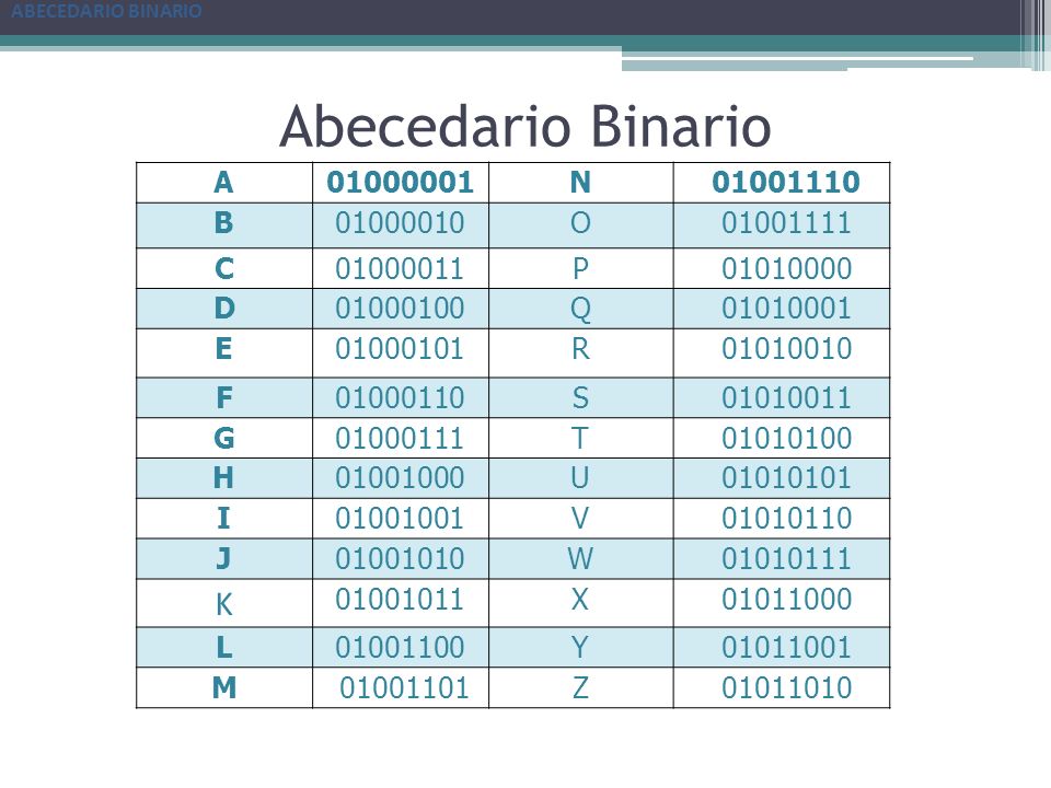 Que es codigos binarios