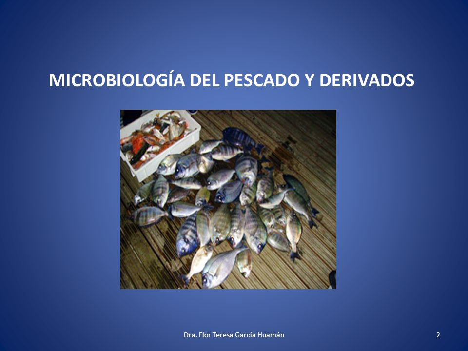 MICROBIOLOGÍA DEL PESCADO Y DERIVADOS 2Dra. Flor Teresa García Huamán. -  ppt descargar