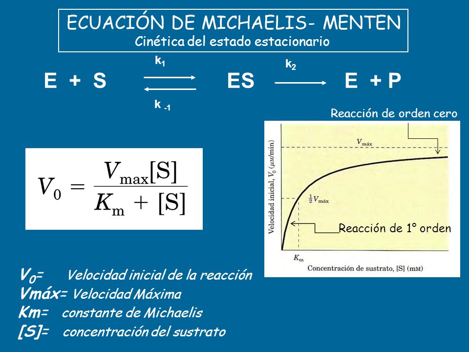 Bolilla 1 Enzimas Caracteres Generales Importancia Del Estudio De Las Enzimas En Los Alimentos Nomenclatura Y Clasificacion Coenzimas Compartimentalizacion Ppt Descargar