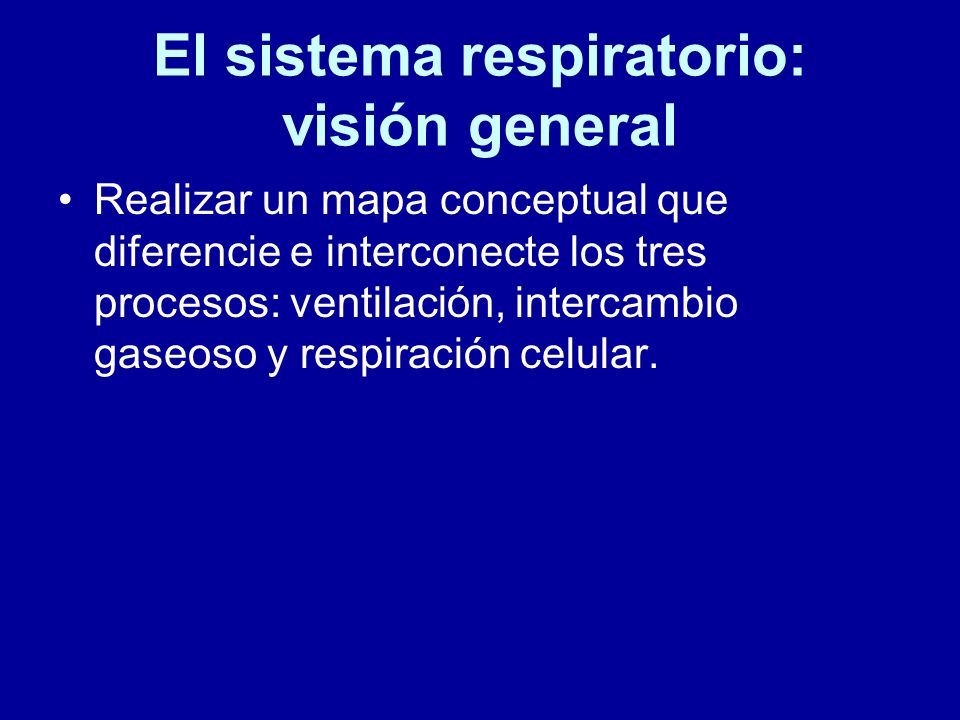 6 4 Intercambio Gaseoso El Sistema Respiratorio Vision General