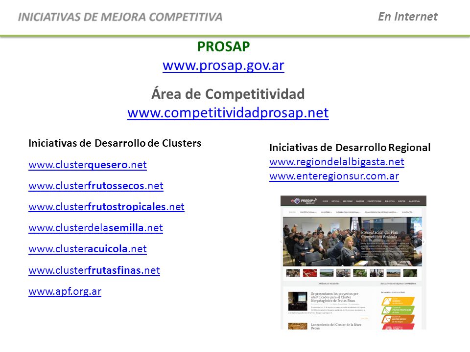 Área de Competitividad   PROSAP   Iniciativas de Desarrollo de Clusters Iniciativas de Desarrollo Regional     En Internet