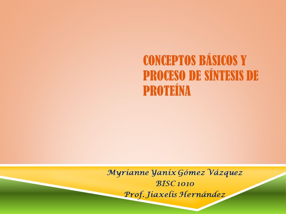 CONCEPTOS BÁSICOS Y PROCESO DE SÍNTESIS DE PROTEÍNA Myrianne Yanix Gómez Vázquez BISC 1010 Prof.