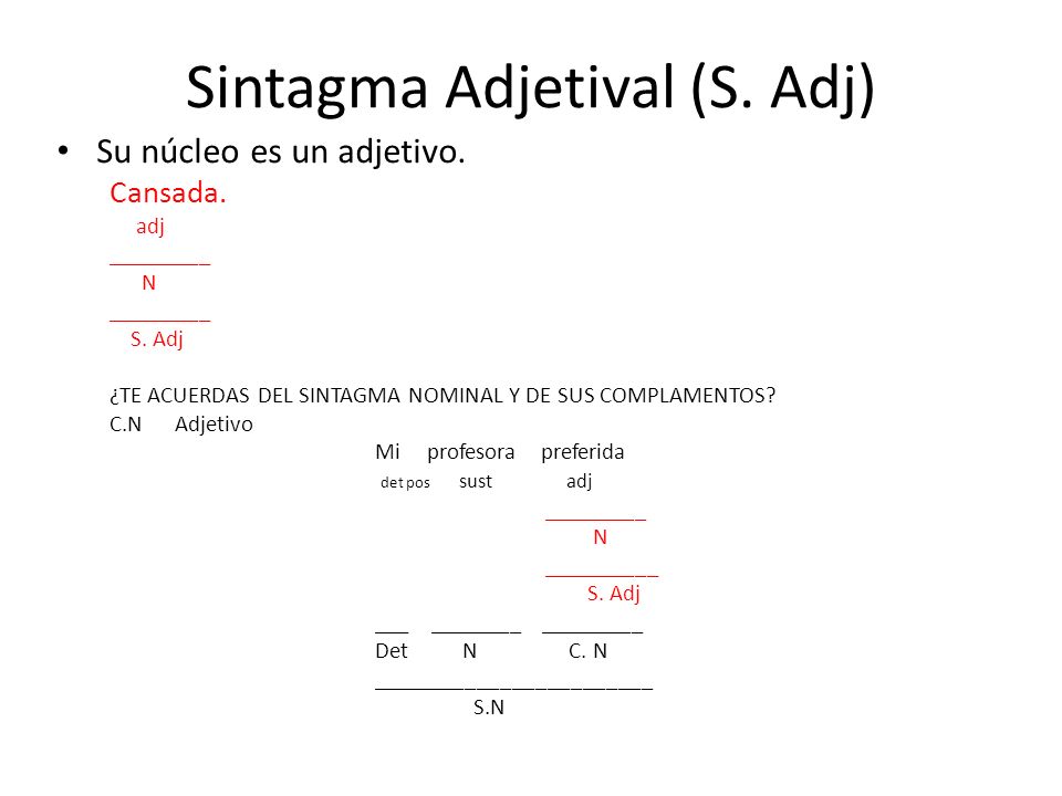 Los Sintagmas Los Sintagmas Una Palabra O Un Conjunto De Palabras Que Realizan La Misma Funcion Sintactica Dentro De La Oracion Existen Distintos Sintagmas Ppt Descargar