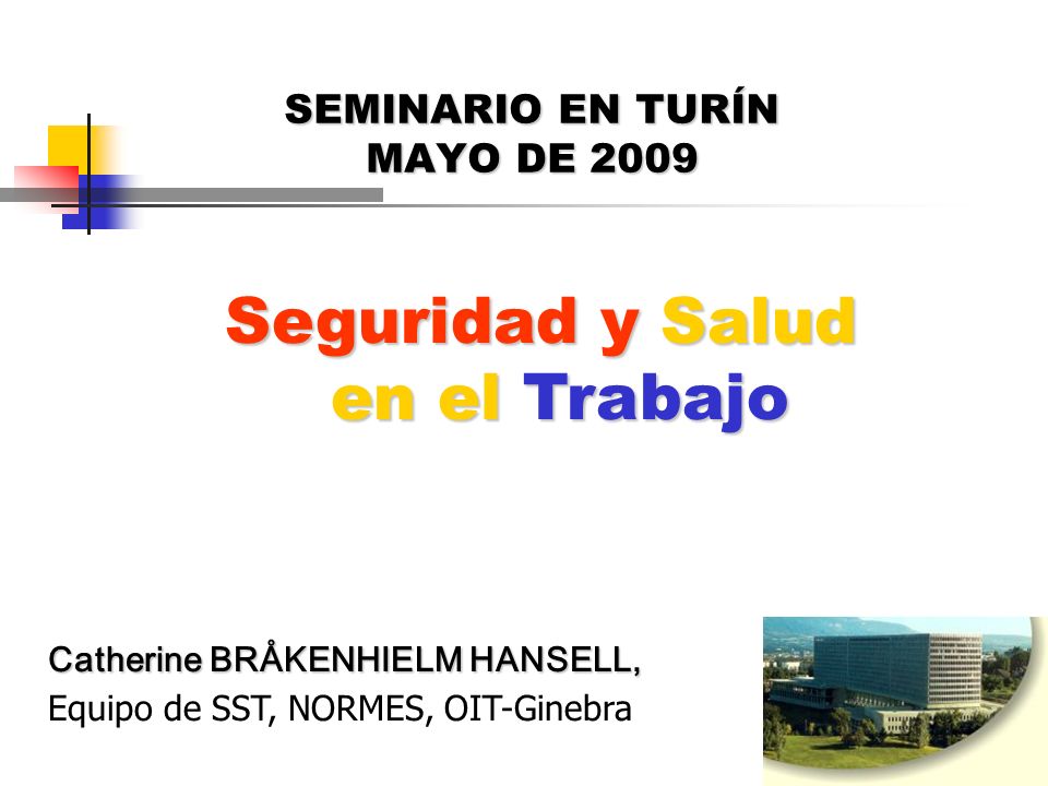 1 SEMINARIO EN TURÍN MAYO DE 2009 Seguridad y Salud en el Trabajo Catherine BRÅKENHIELM HANSELL, Catherine BRÅKENHIELM HANSELL, Equipo de SST, NORMES, OIT-Ginebra